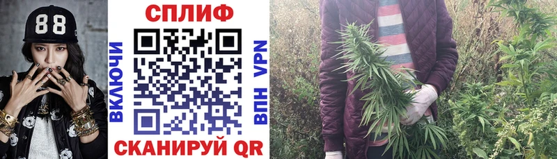 Наркошоп купить Конопля  СК  Гашиш  Мефедрон  Ступино